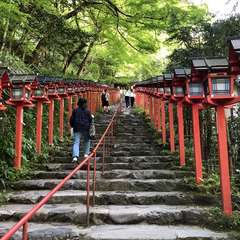 投稿日:2023年5月12日 写真