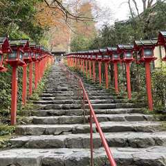 投稿日:2023年12月10日 写真