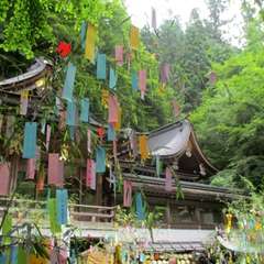 投稿日:2019年7月4日 写真