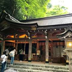 投稿日:2017年9月17日 写真