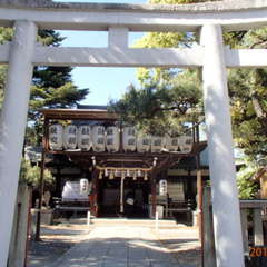 写真