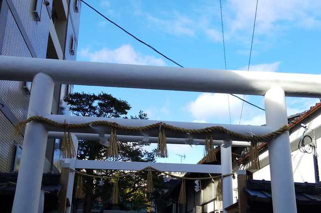 写真