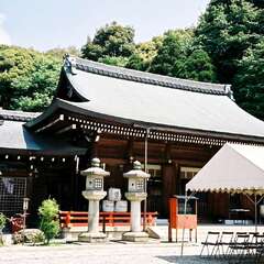 京都霊山護國神社(投稿日:2025年10月13日) 写真