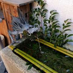 投稿日:2023年10月19日 写真