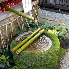 投稿日:2023年10月19日 写真