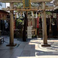 投稿日:2023年10月19日 写真