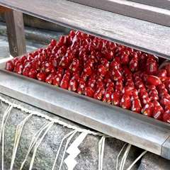 投稿日:2023年10月19日 写真