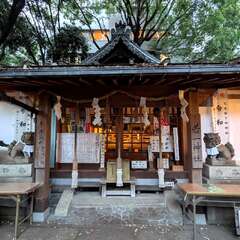 写真
