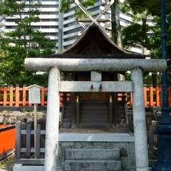 投稿日:2016年8月5日 写真