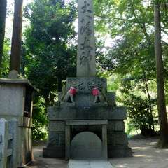 投稿日:2016年8月5日 写真