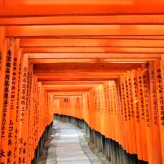 投稿日:2015年12月5日 写真