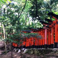 投稿日:2014年11月12日 写真