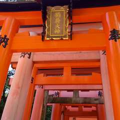 投稿日:2020年8月14日 写真