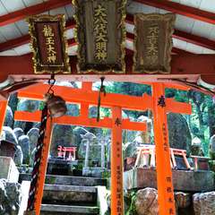 投稿日:2014年11月12日 写真