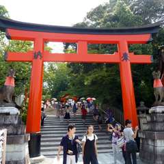 投稿日:2016年8月5日 写真