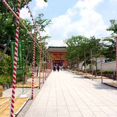 投稿日:2014年11月12日 写真