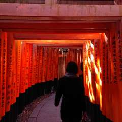 投稿日:2018年1月7日 写真