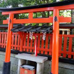 投稿日:2016年8月5日 写真