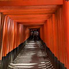 投稿日:2021年8月12日 写真