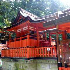 投稿日:2016年8月5日 写真