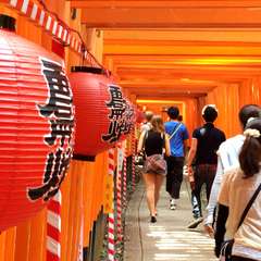 投稿日:2014年11月12日 写真