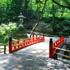 投稿日:2014年11月12日 写真