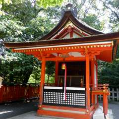 投稿日:2016年8月5日 写真