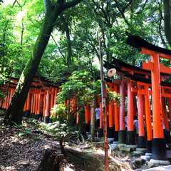 投稿日:2014年11月12日 写真