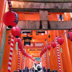 投稿日:2014年11月12日 写真