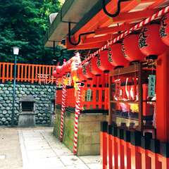 投稿日:2014年11月12日 写真