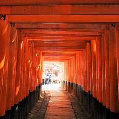 投稿日:2015年12月5日 写真