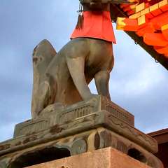 投稿日:2020年1月14日 写真