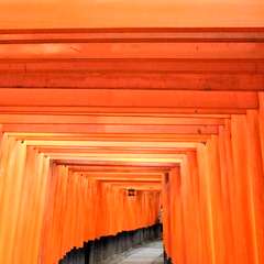 投稿日:2015年12月5日 写真