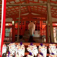 投稿日:2014年11月12日 写真