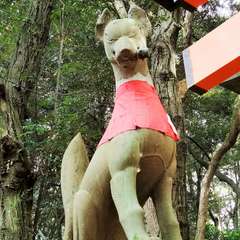 投稿日:2015年12月5日 写真