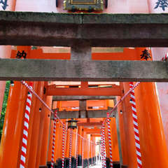 投稿日:2018年8月19日 写真