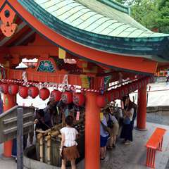 投稿日:2014年11月12日 写真