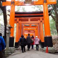 投稿日:2016年2月23日 写真