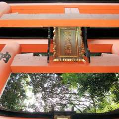 投稿日:2015年12月5日 写真