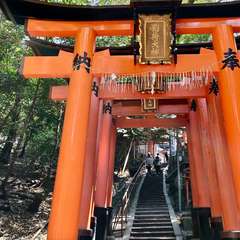 投稿日:2022年4月22日 写真