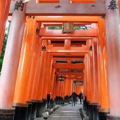 投稿日:2015年12月5日 写真