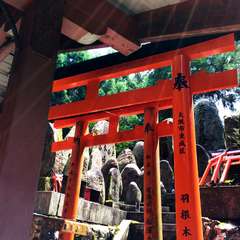 投稿日:2014年11月12日 写真