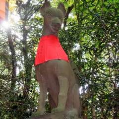 投稿日:2015年12月5日 写真