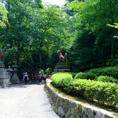 投稿日:2014年11月12日 写真