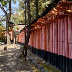 投稿日:2022年4月22日 写真