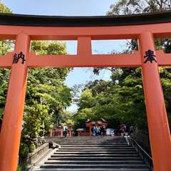 投稿日:2022年4月22日 写真