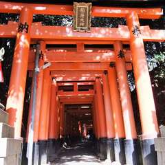 投稿日:2015年12月5日 写真