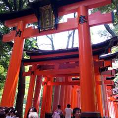 投稿日:2014年11月12日 写真