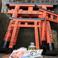 投稿日:2019年1月3日 写真