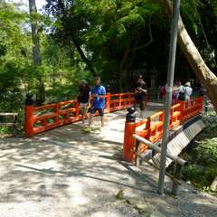 投稿日:2016年8月5日 写真